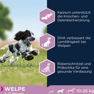Eukanuba Puppy Medium Breed Kylling 15 kg