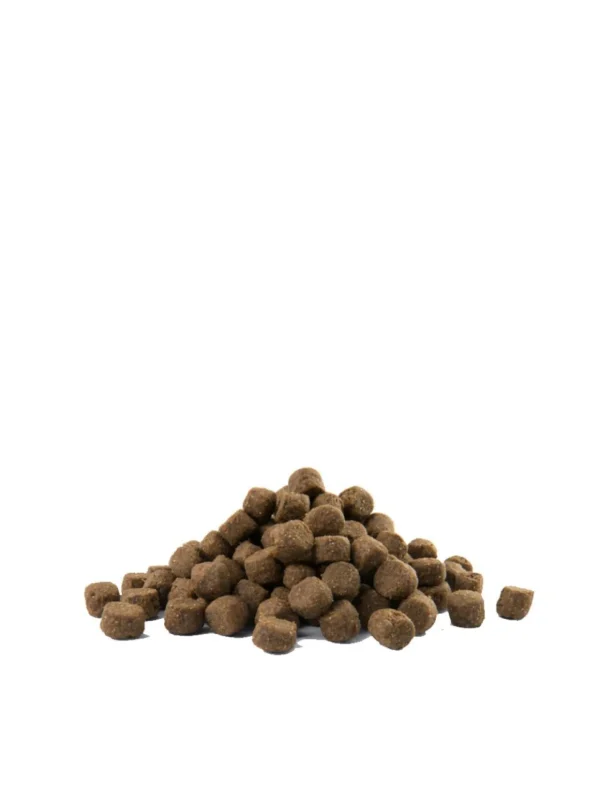 OptiLife Prime Adult Laks 12,5 kg