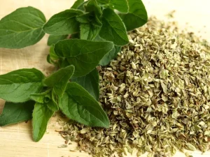 Oregano 500 gram