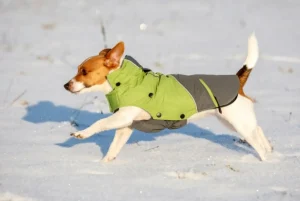 Outdoor Dog Coat Vancouver 45 cm/L