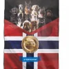 Provit Frysetørket Vom 1 kg